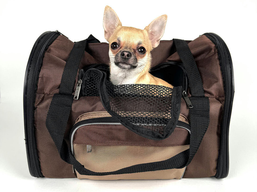 Pet Transport